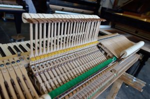 C.Bechstein A Flügel 180cm generalüberholt